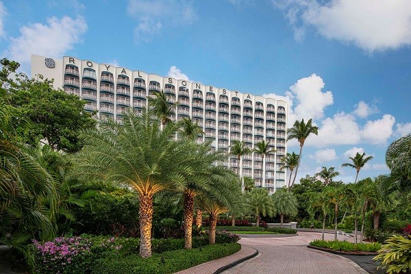 Photo of the Royal Sonesta San Juan hotel with  palm trees lining the driveway leading up to the property, with blue skies overhead and billowy clouds.