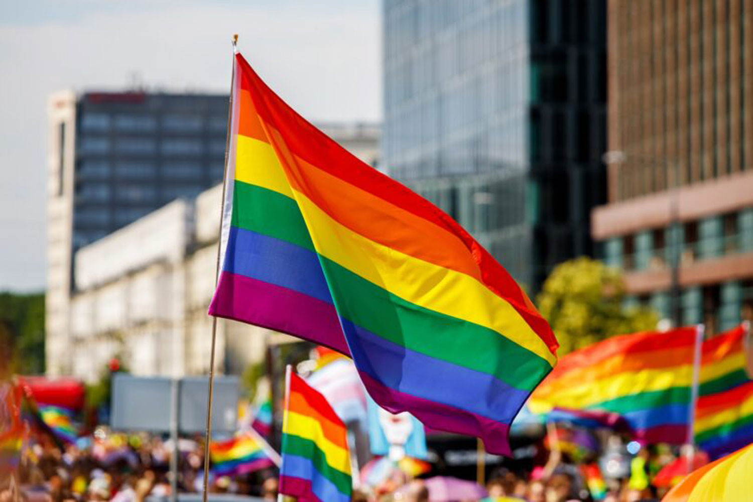 rainbow flags