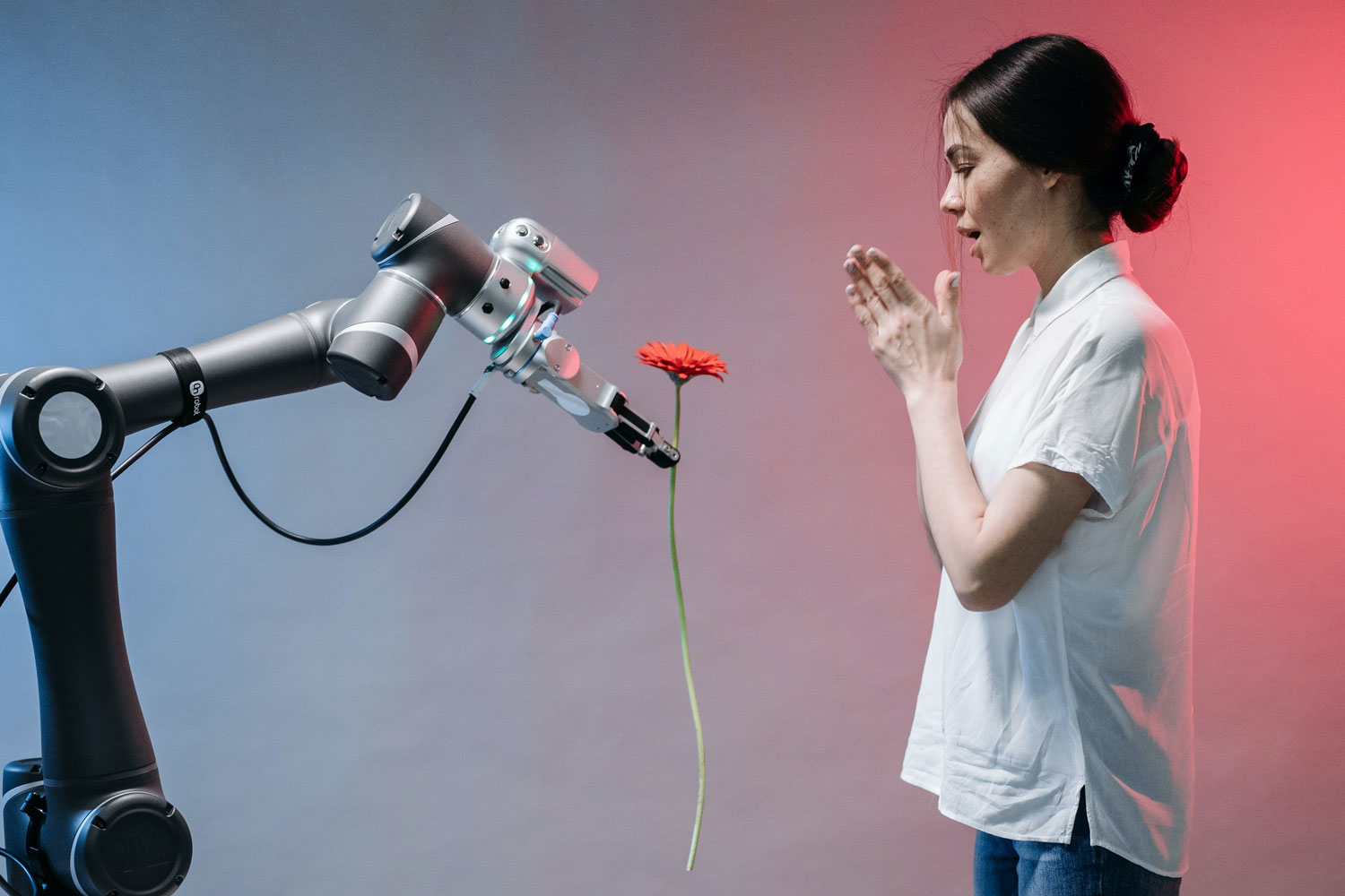 robot arm holding flower towards woman